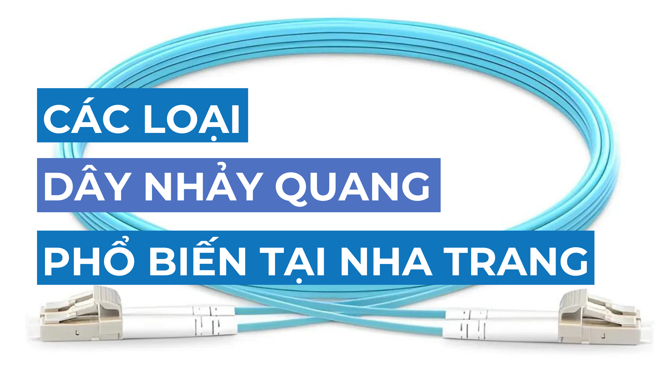 Các loại dây nhảy quang phổ biến tại Nha Trang