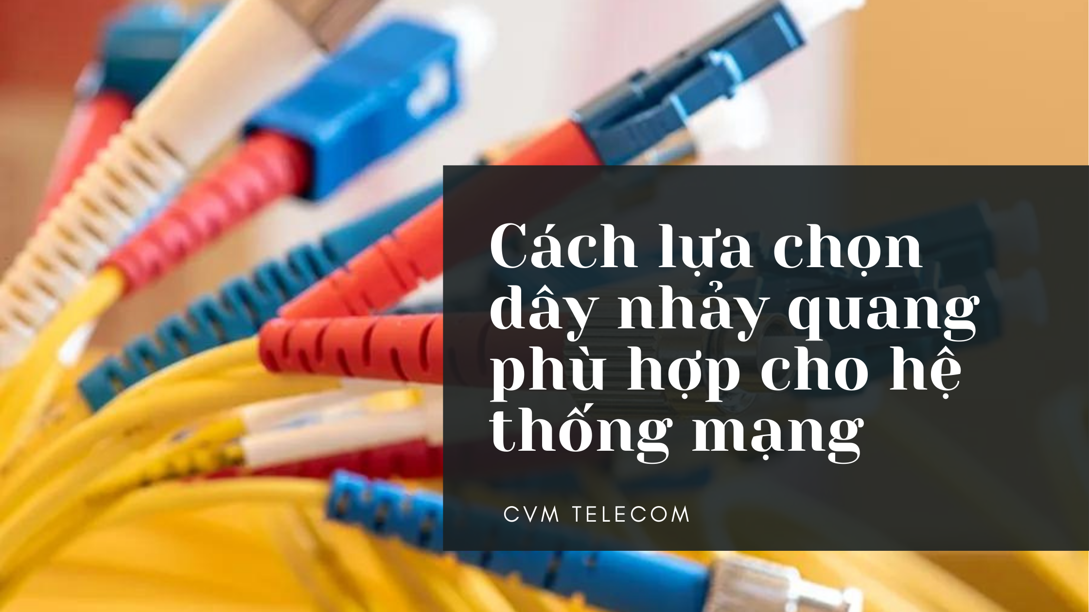 Cách lựa chọn dây nhảy quang phù hợp cho hệ thống mạng