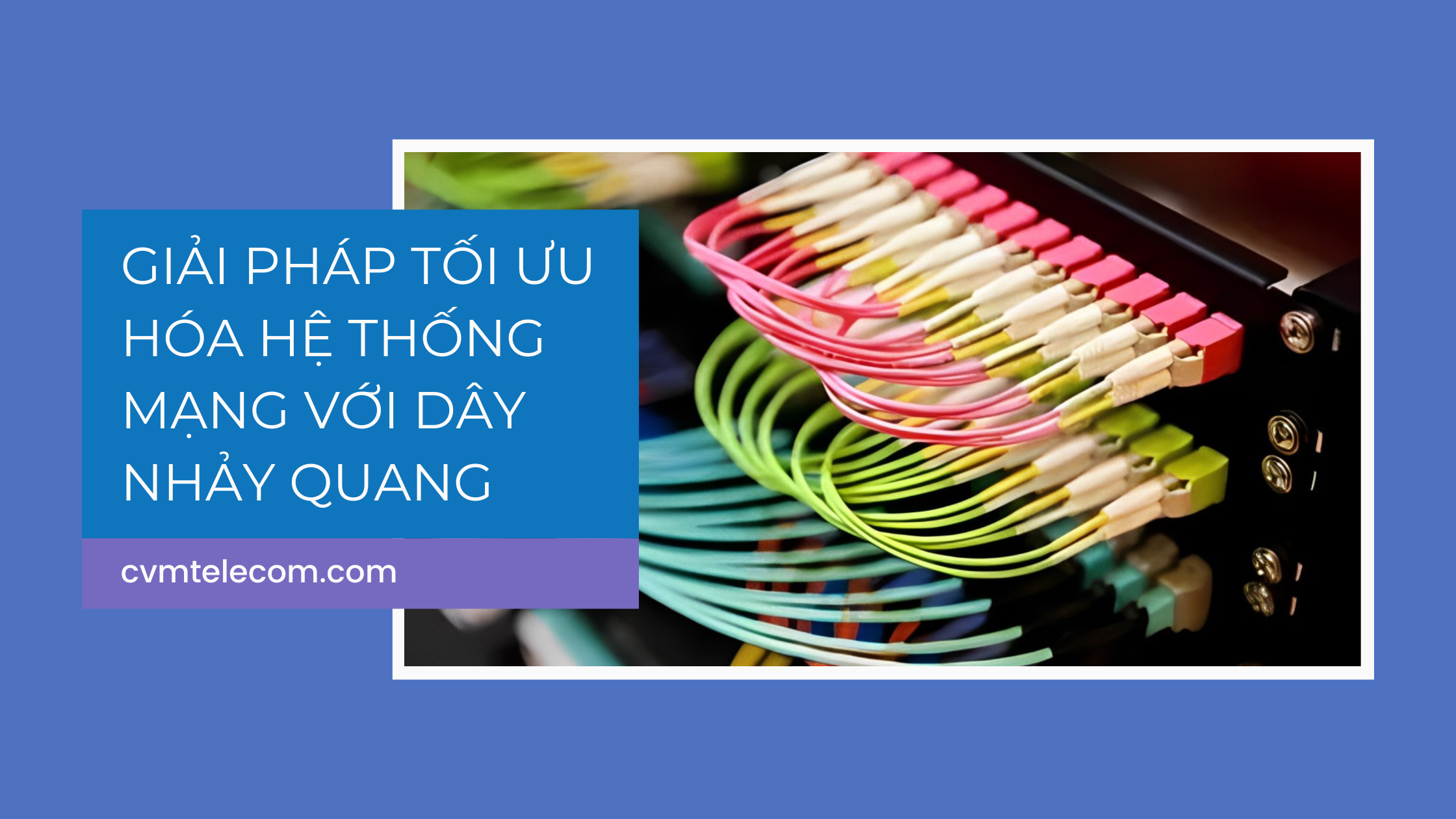 Giải pháp tối ưu hóa hệ thống mạng với dây nhảy quang