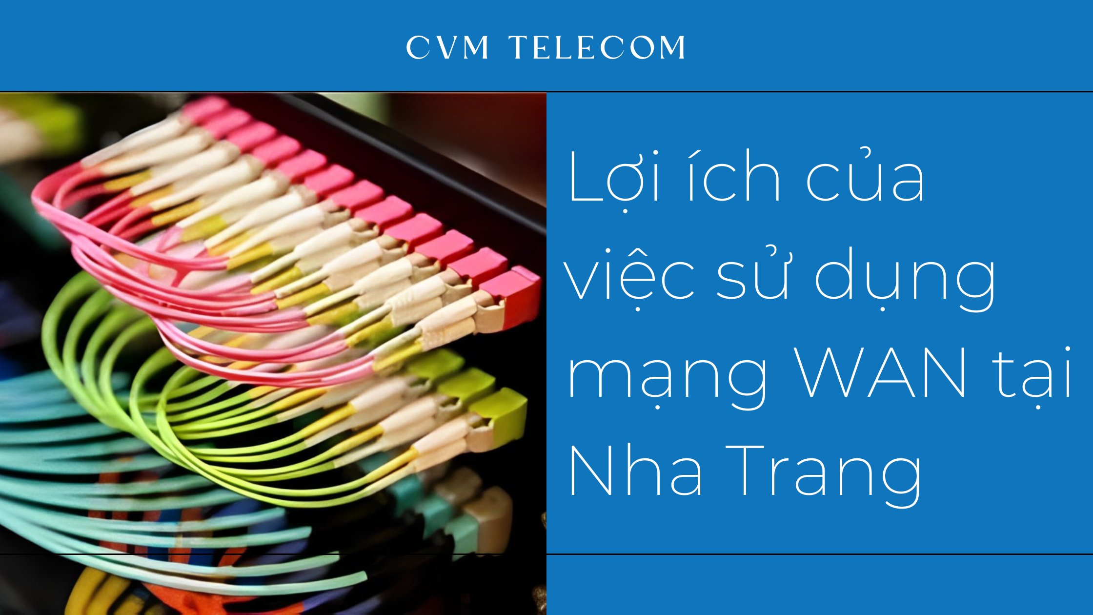 Lợi ích của việc sử dụng mạng WAN tại Nha Trang